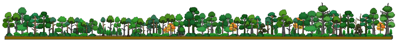 Imatge situació actual