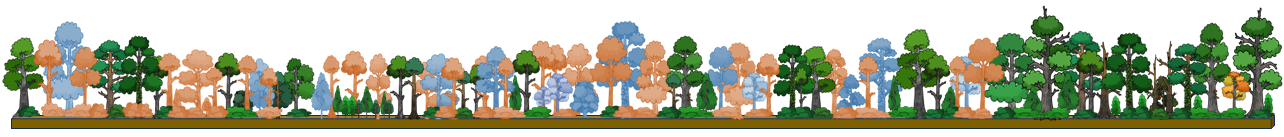 Imatge selecció d'arbres de futur i actuacions